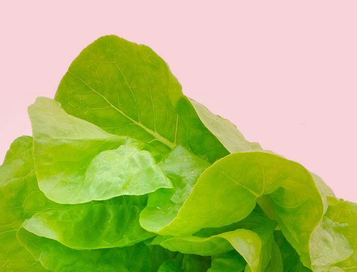 Kolagen a vegetari&aacute;nstv&iacute;